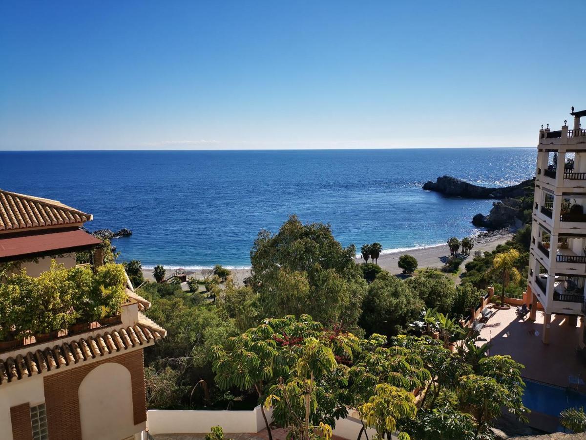 Luz De La Marina
